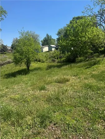 a view of a lush green space