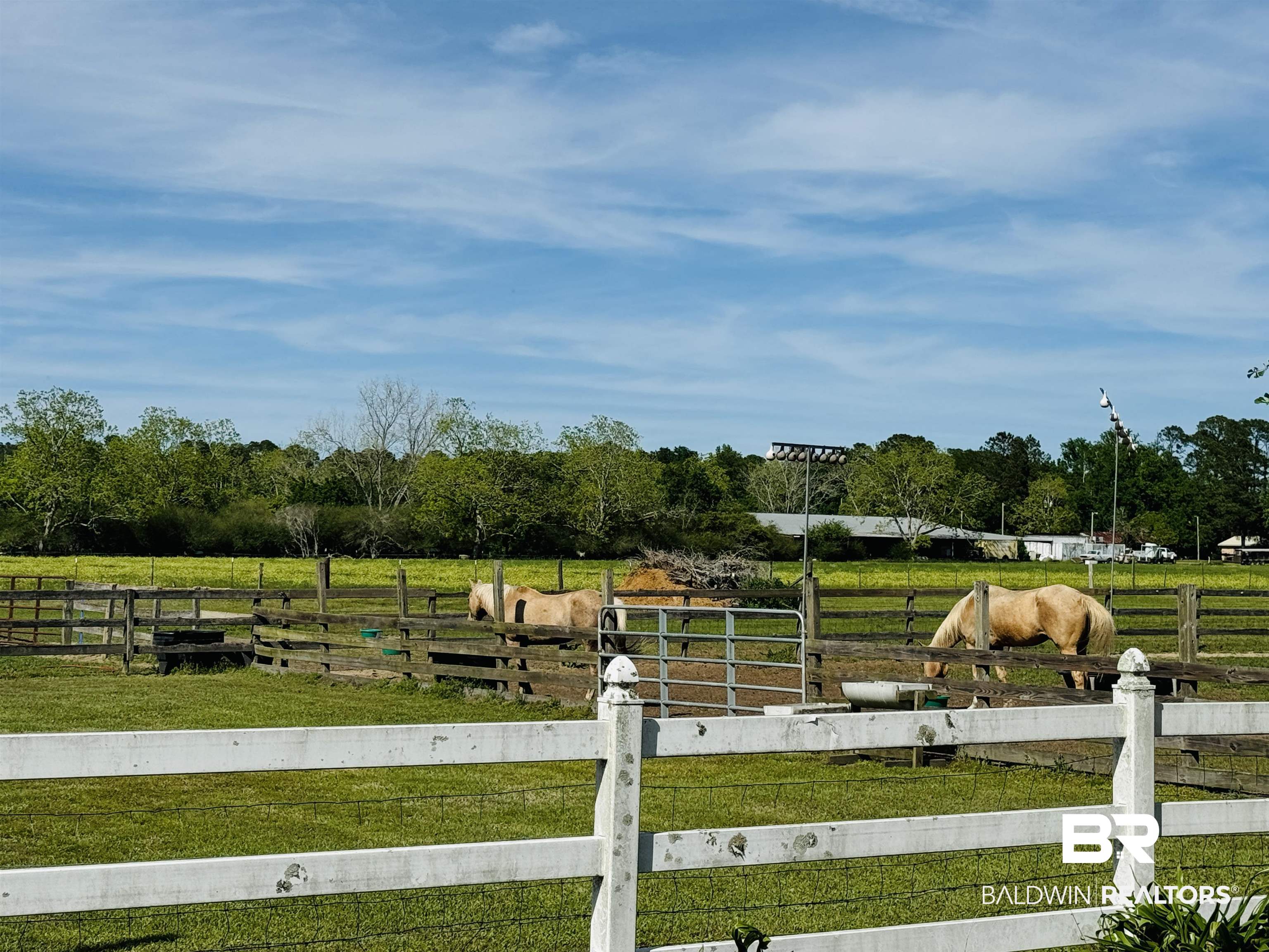 13795 White Road Silverhill, AL 36576 - Photo 63 of 99 View of yard with a view of rural / pastoral area
