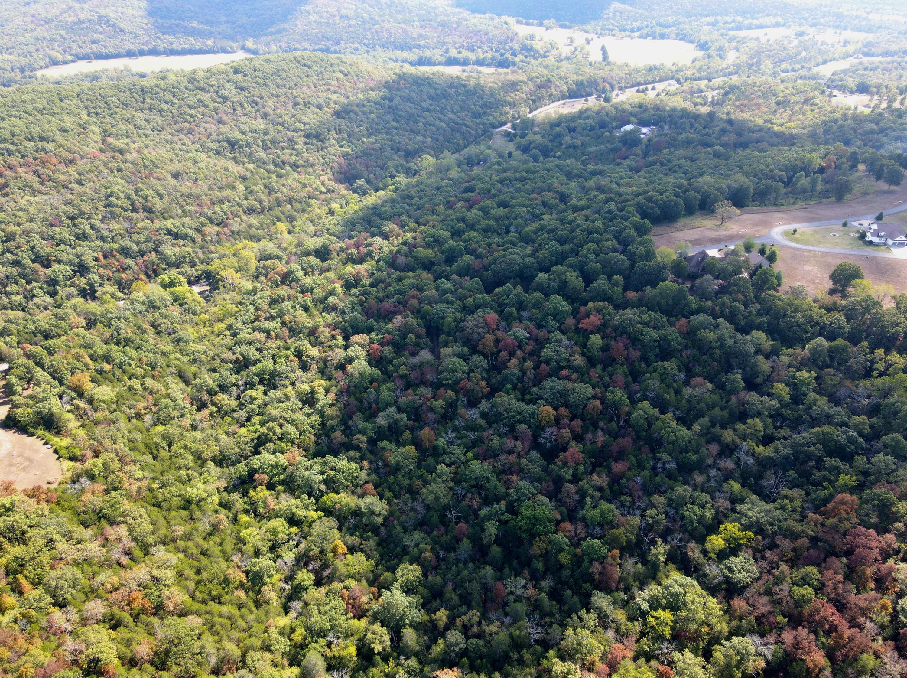 0 Dry Hollow Road Chestnutridge, MO 65630 - Photo 36 of 44 dji_fly_20250925_112052_785_175900973503