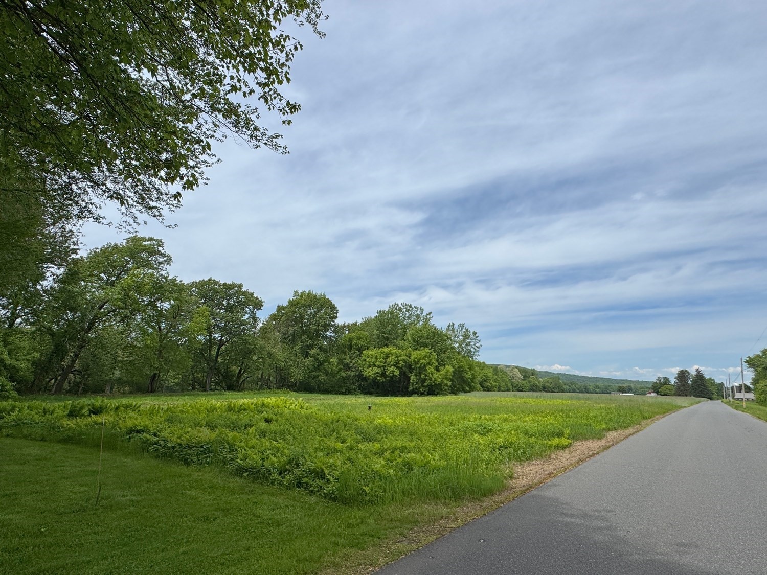 0 Meadow Road Montague, MA 01351 - Photo 21 of 21 Gallery Image 21