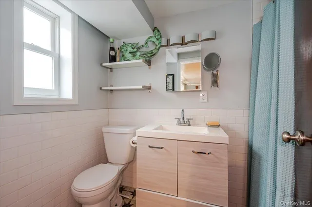 a view of a backyard with plants and a garage