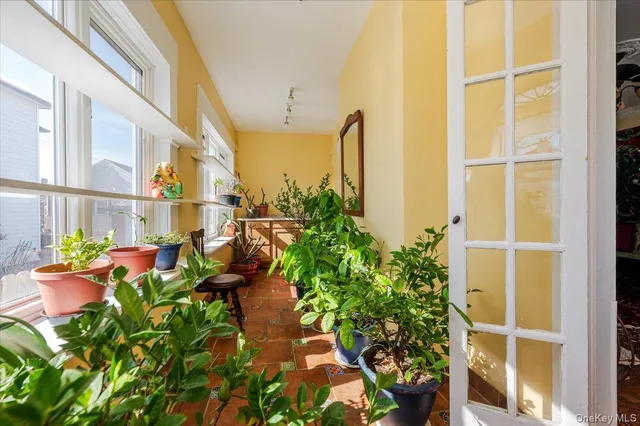 a view of a garden with chairs