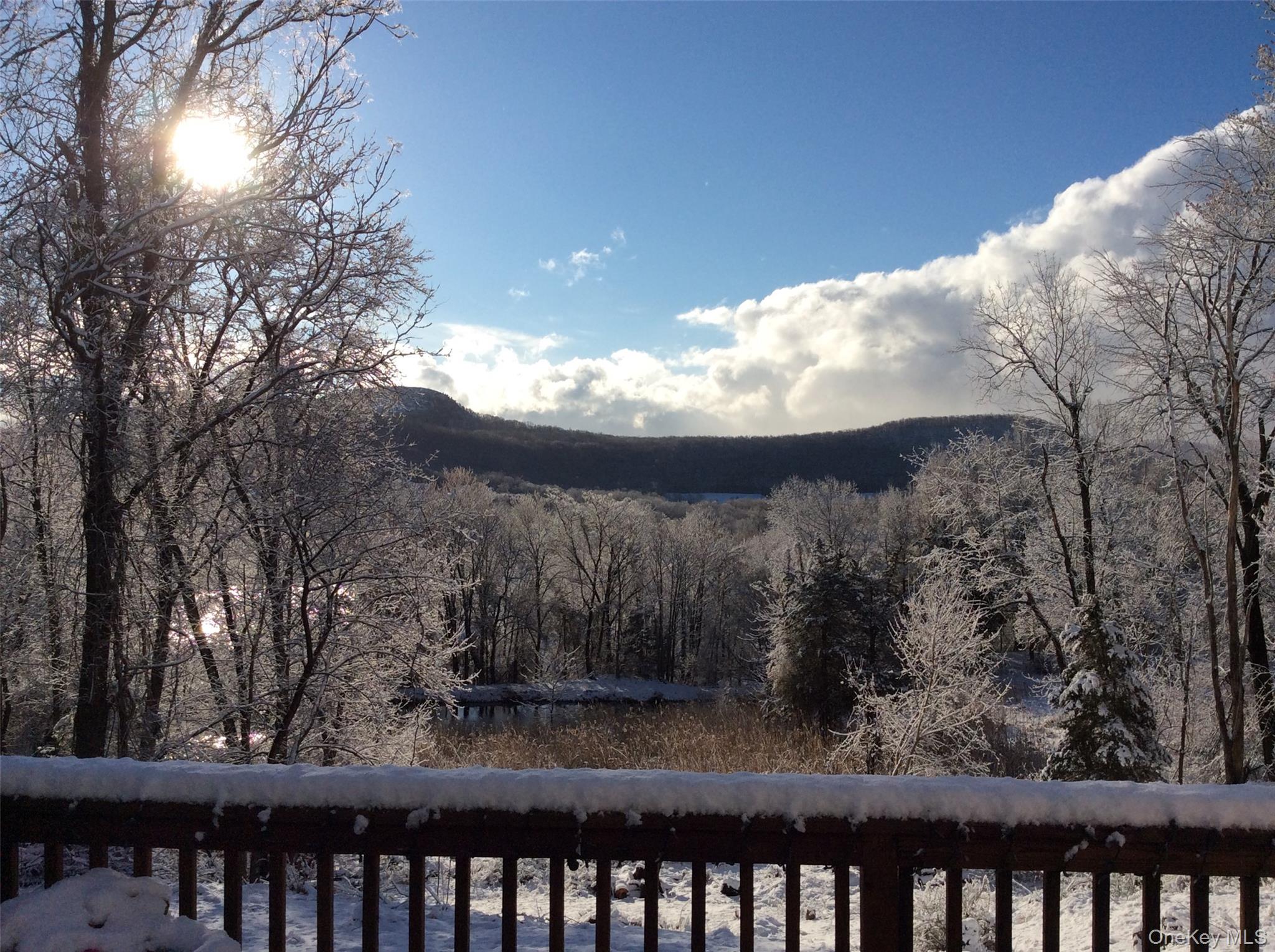 107 Pine Hill Road Chester, NY 10918 - Photo 29 of 33 Winter Views