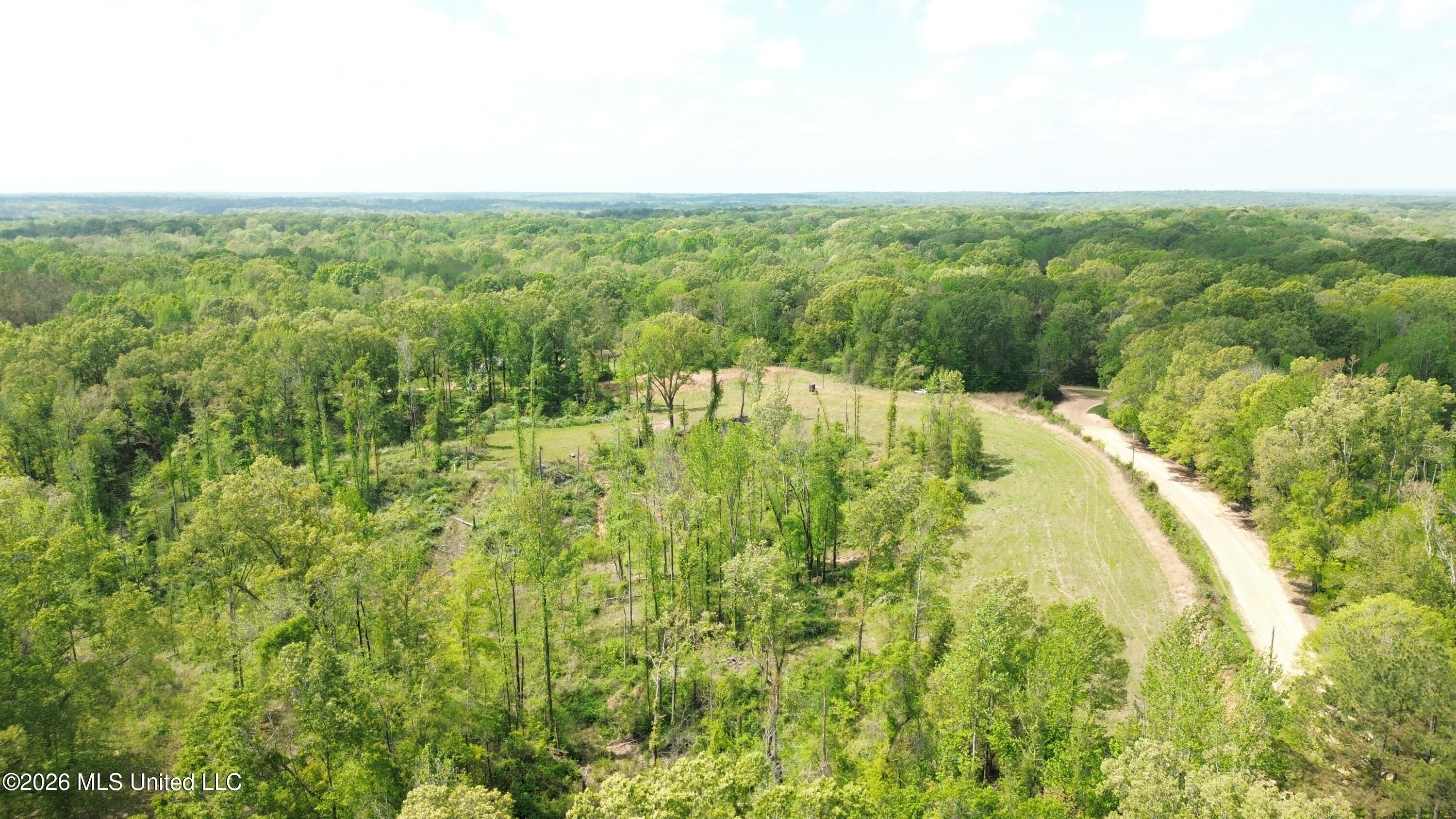 Stevens Road Yazoo City, MS 39194 - Photo 5 of 6 DJI_0609