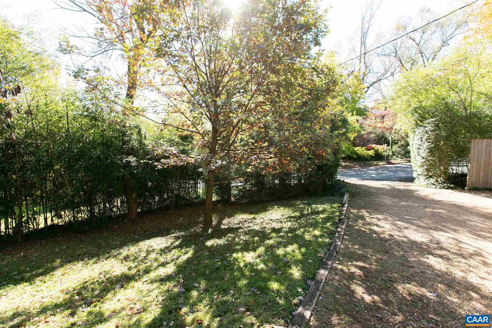 1102 Rugby Road Charlottesville, VA 22903 - Photo 48 of 51 a view of a yard with a tree