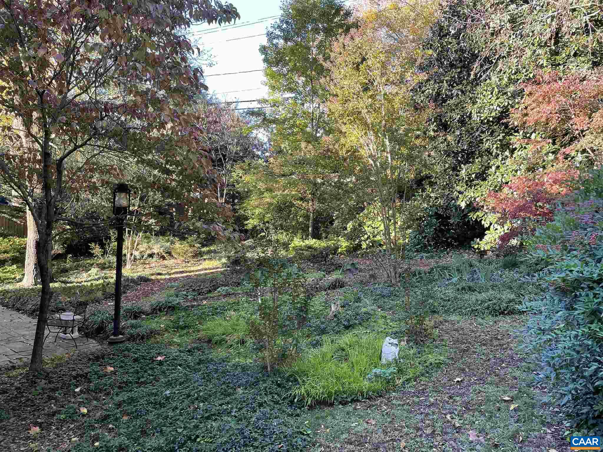 1102 Rugby Road Charlottesville, VA 22903 - Photo 51 of 51 a view of yard