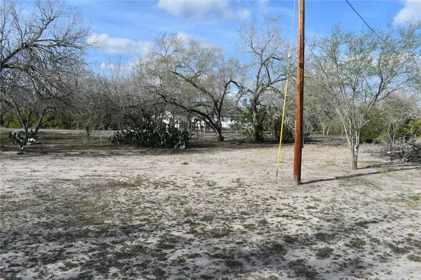 a view of a yard with a tree