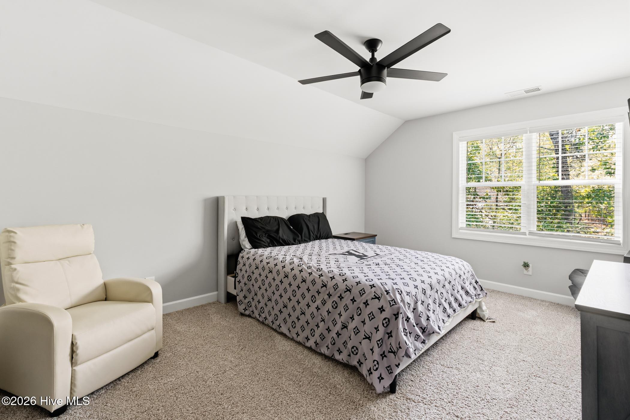 15641 Raccoon Run Road Wagram, NC 28396 - Photo 33 of 40 A7403237