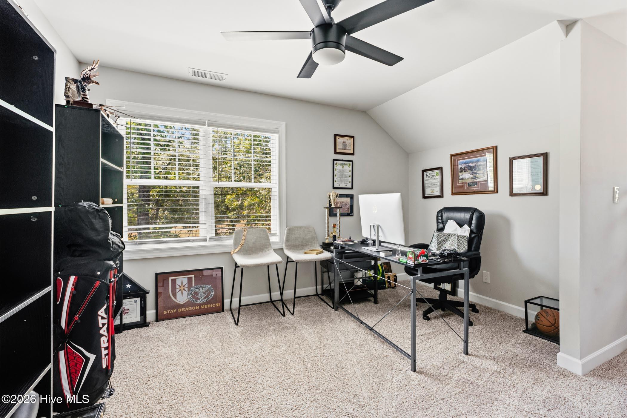 15641 Raccoon Run Road Wagram, NC 28396 - Photo 35 of 40 A7403243