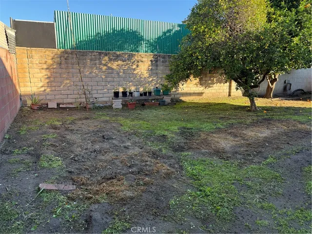 a view of backyard with tree