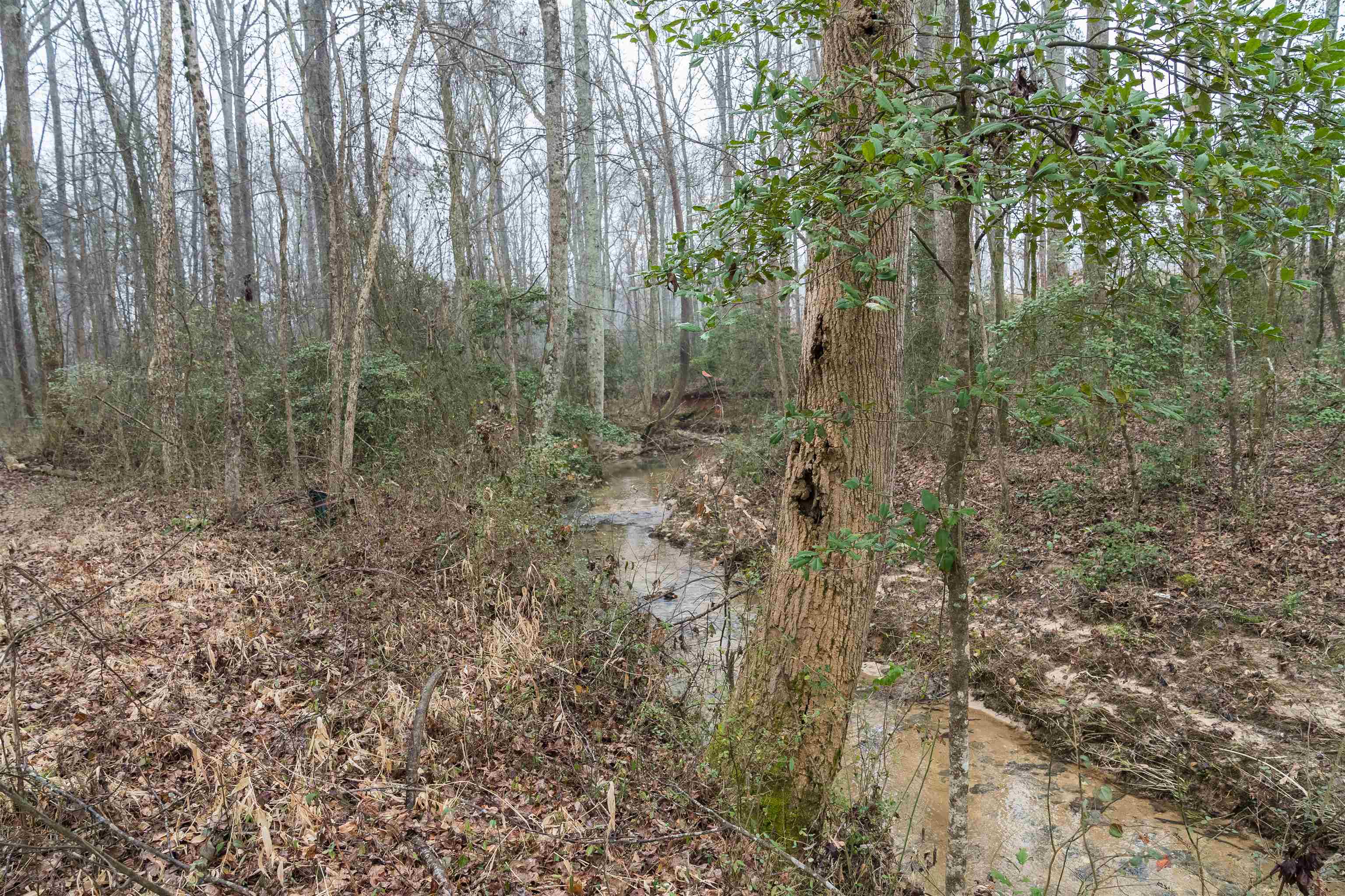 506 Clement Road Chesnee, SC 29323 - Photo 9 of 23