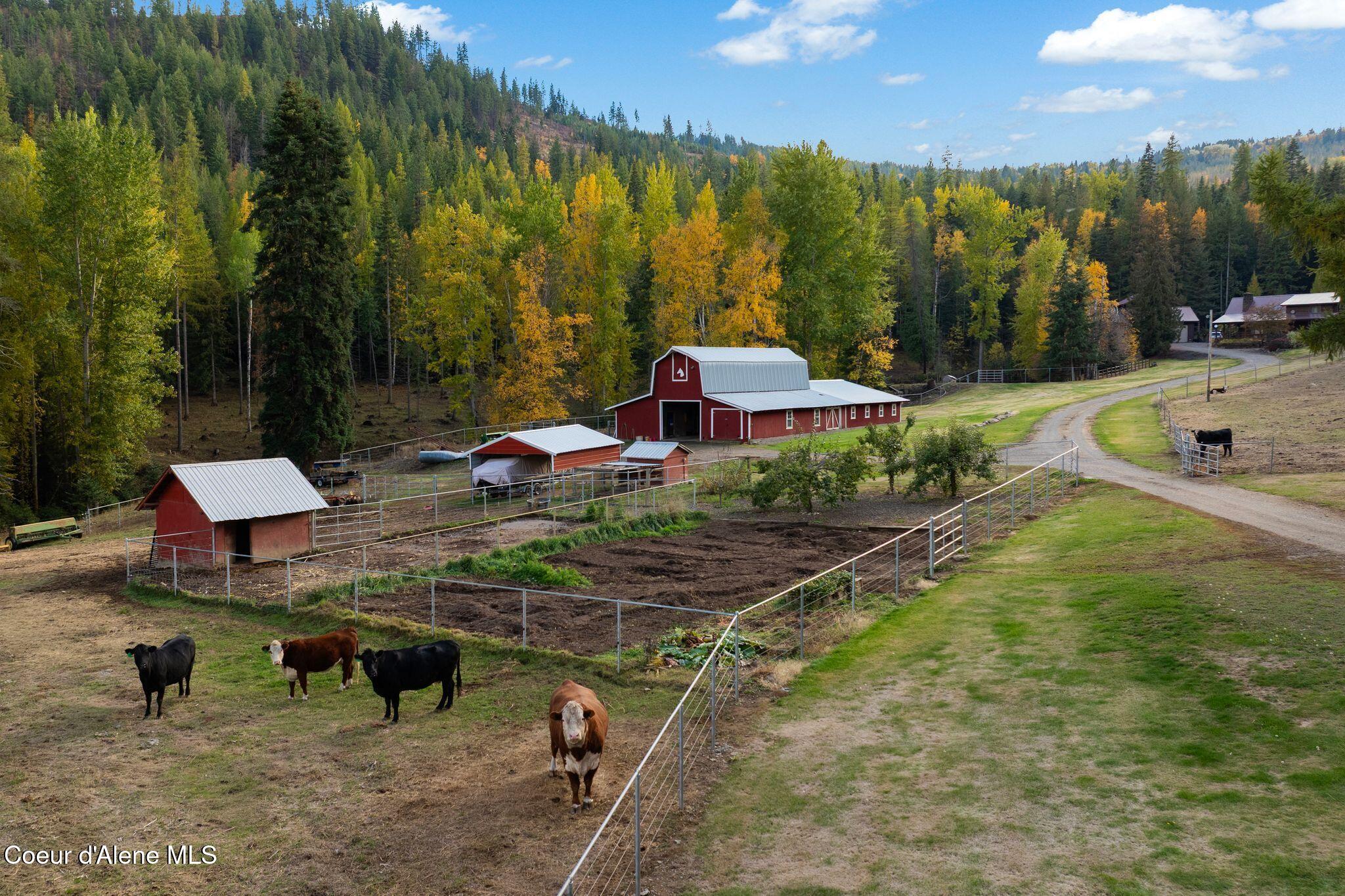 13962 Dufort Road Priest River, ID 83856 - Photo 84 of 85 17_DJI_20251023062210_0021_D