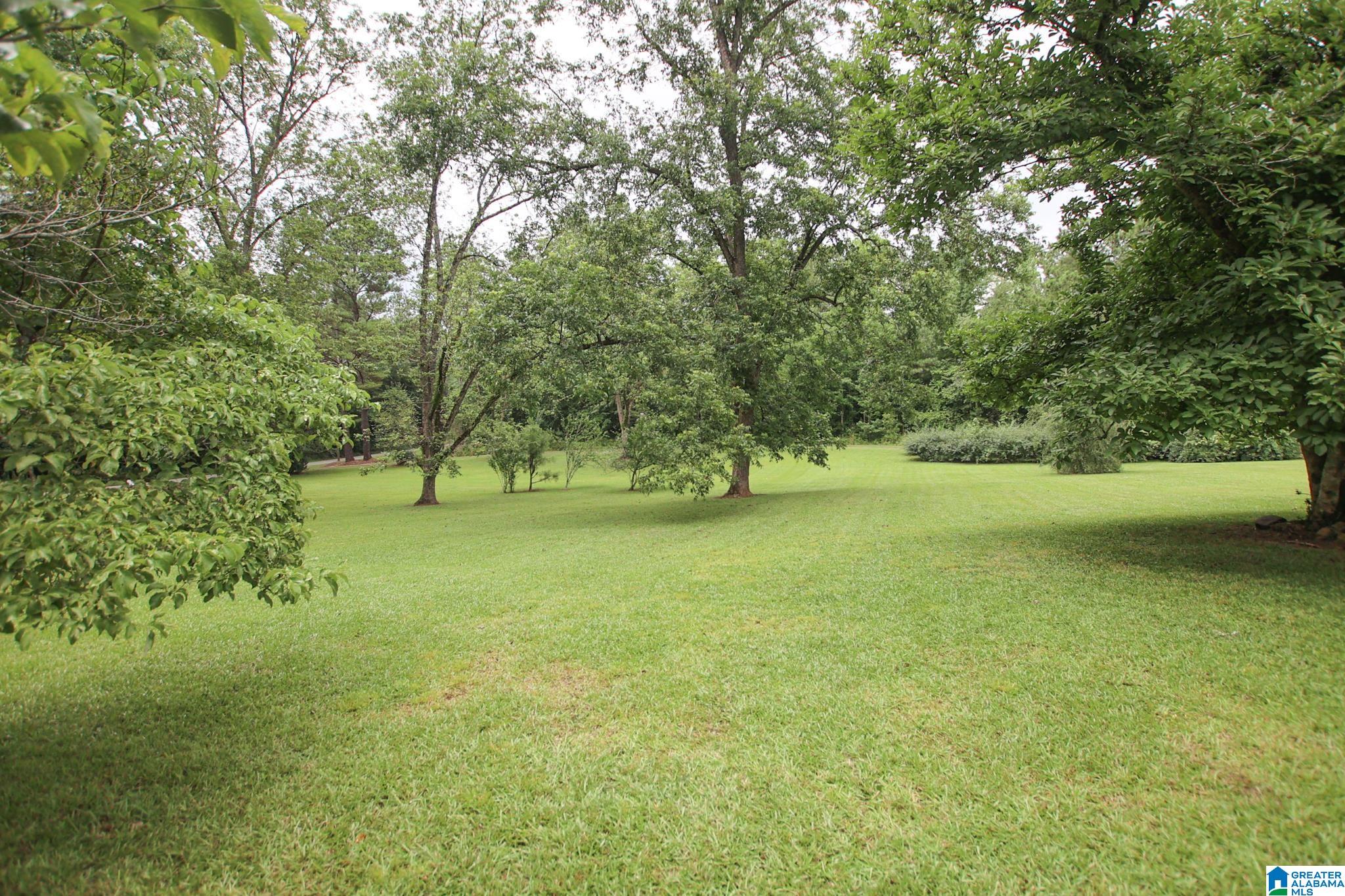 3794 Cheaha Road Munford, AL 36268 - Photo 38 of 40
