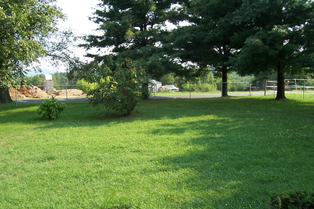 2470 Highland Road Roanoke, VA 24014 - Photo 2 of 12 a view of a trees with a yard