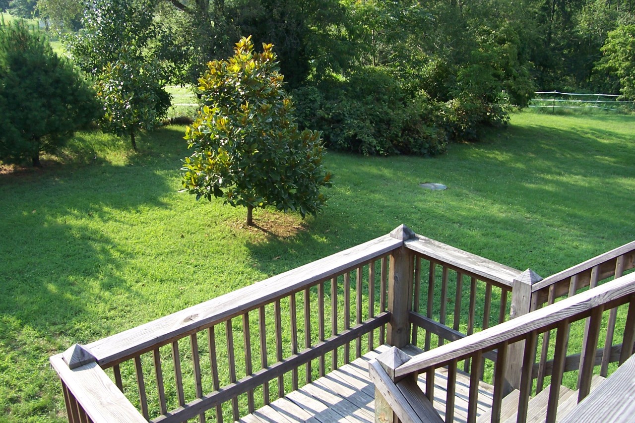2470 Highland Road Roanoke, VA 24014 - Photo 7 of 12 a view of a wooden deck with a yard