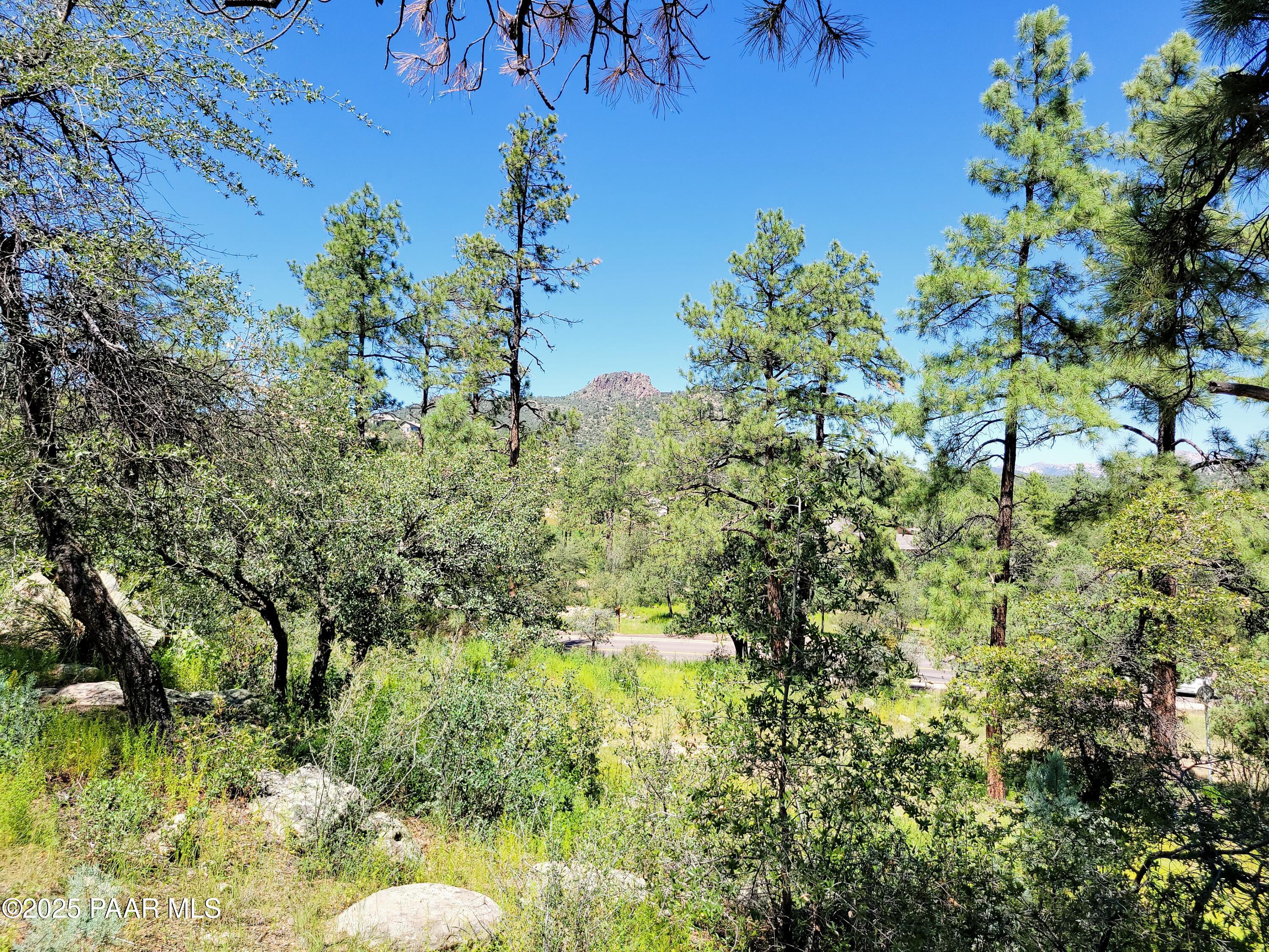 1753 Conifer Ridge Lane Prescott, AZ 86303 - Photo 2 of 11 a view of a garden