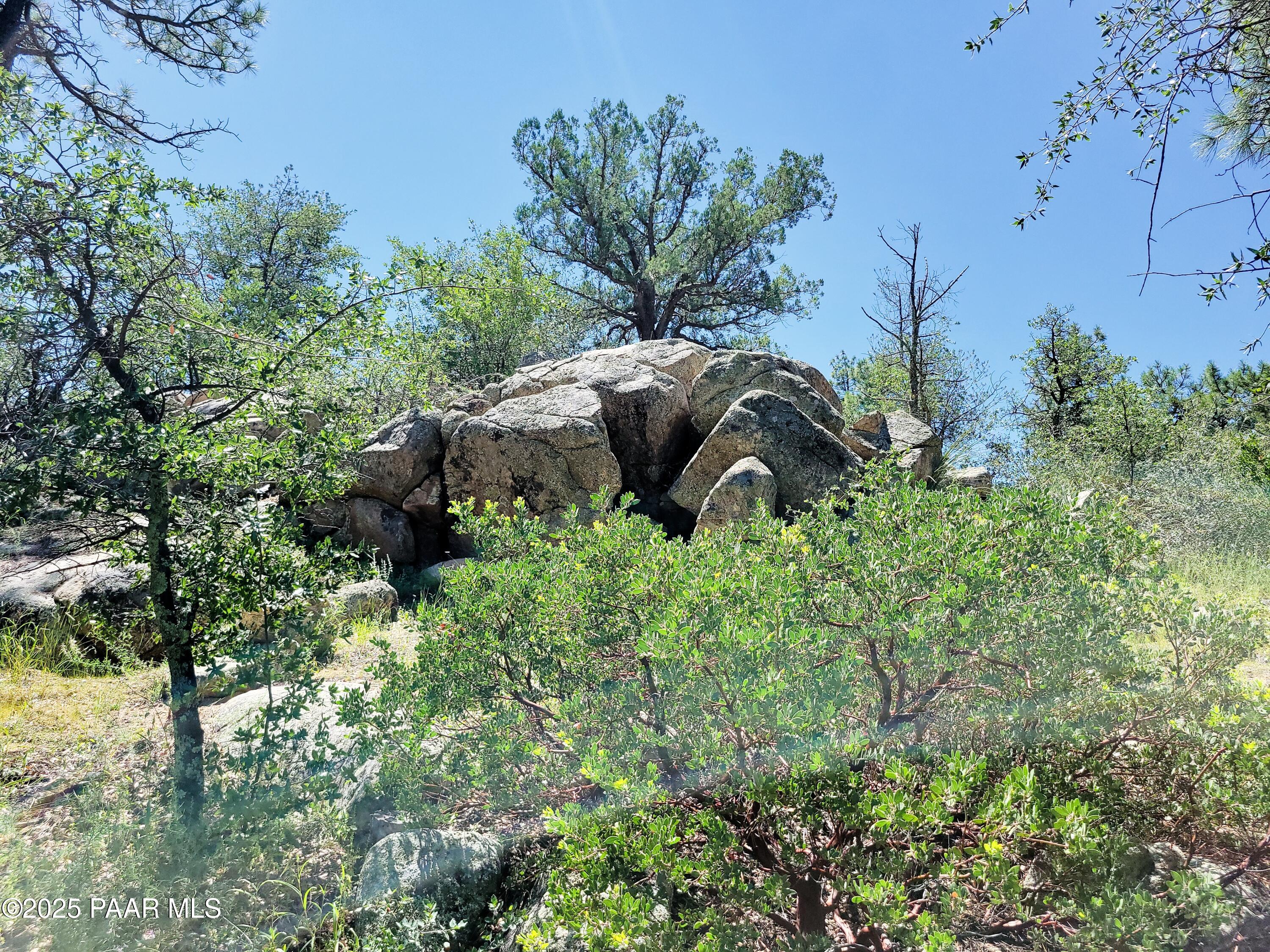 1753 Conifer Ridge Lane Prescott, AZ 86303 - Photo 3 of 11 a view of a garden with plants