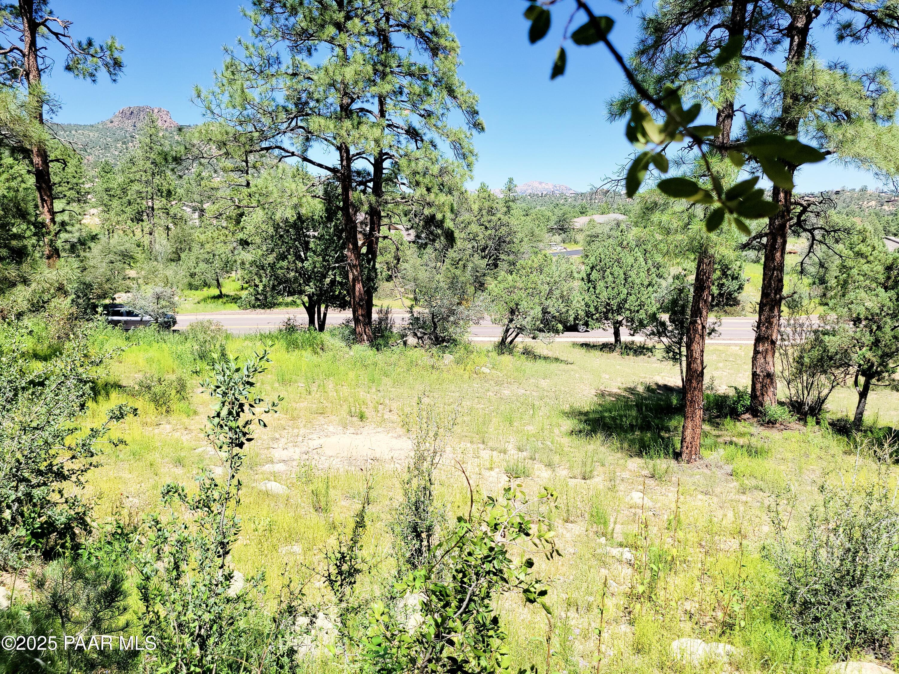 1753 Conifer Ridge Lane Prescott, AZ 86303 - Photo 4 of 11 a view of yard with trees