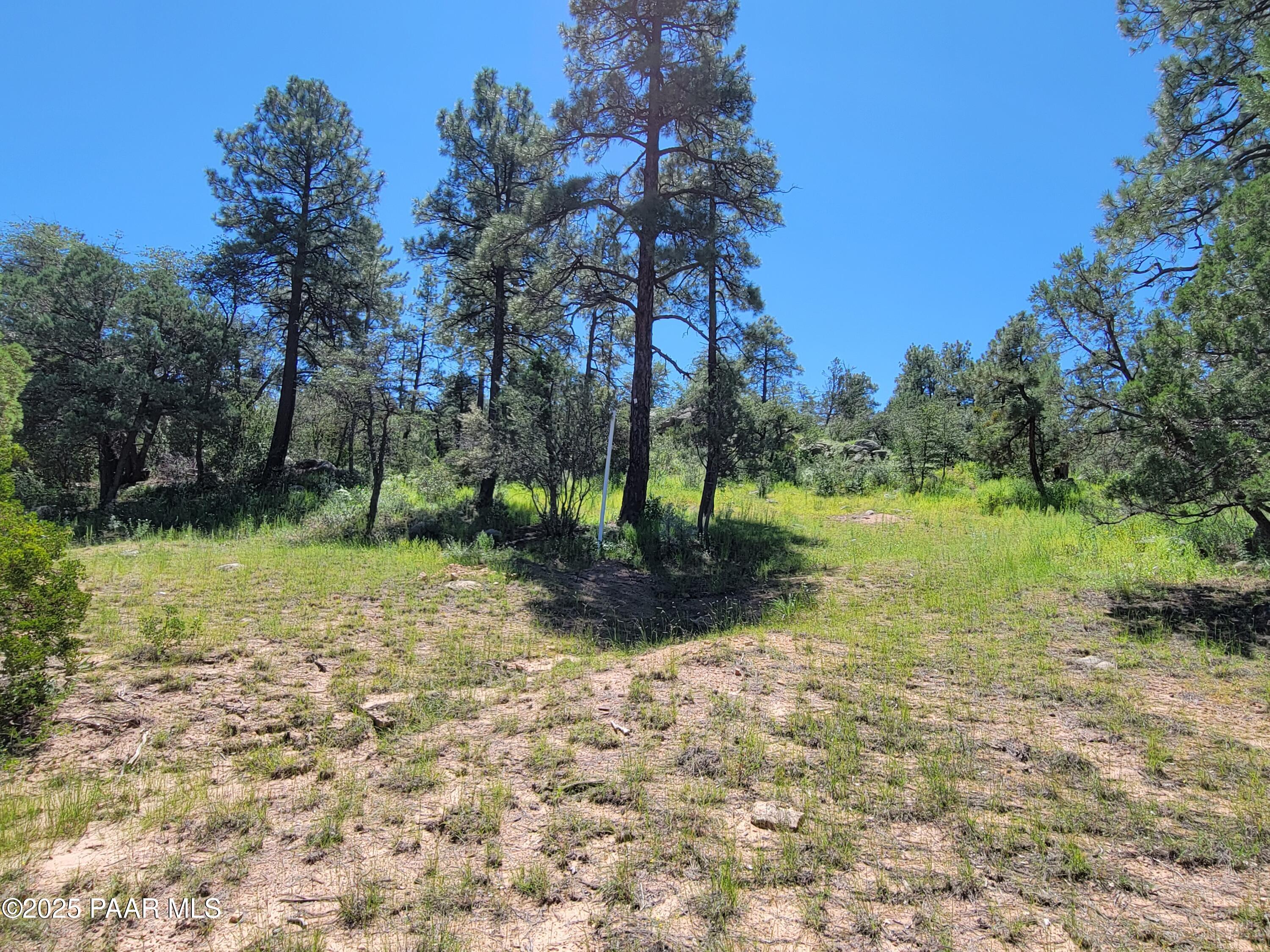 1753 Conifer Ridge Lane Prescott, AZ 86303 - Photo 5 of 11 a view of outdoor space with trees all around