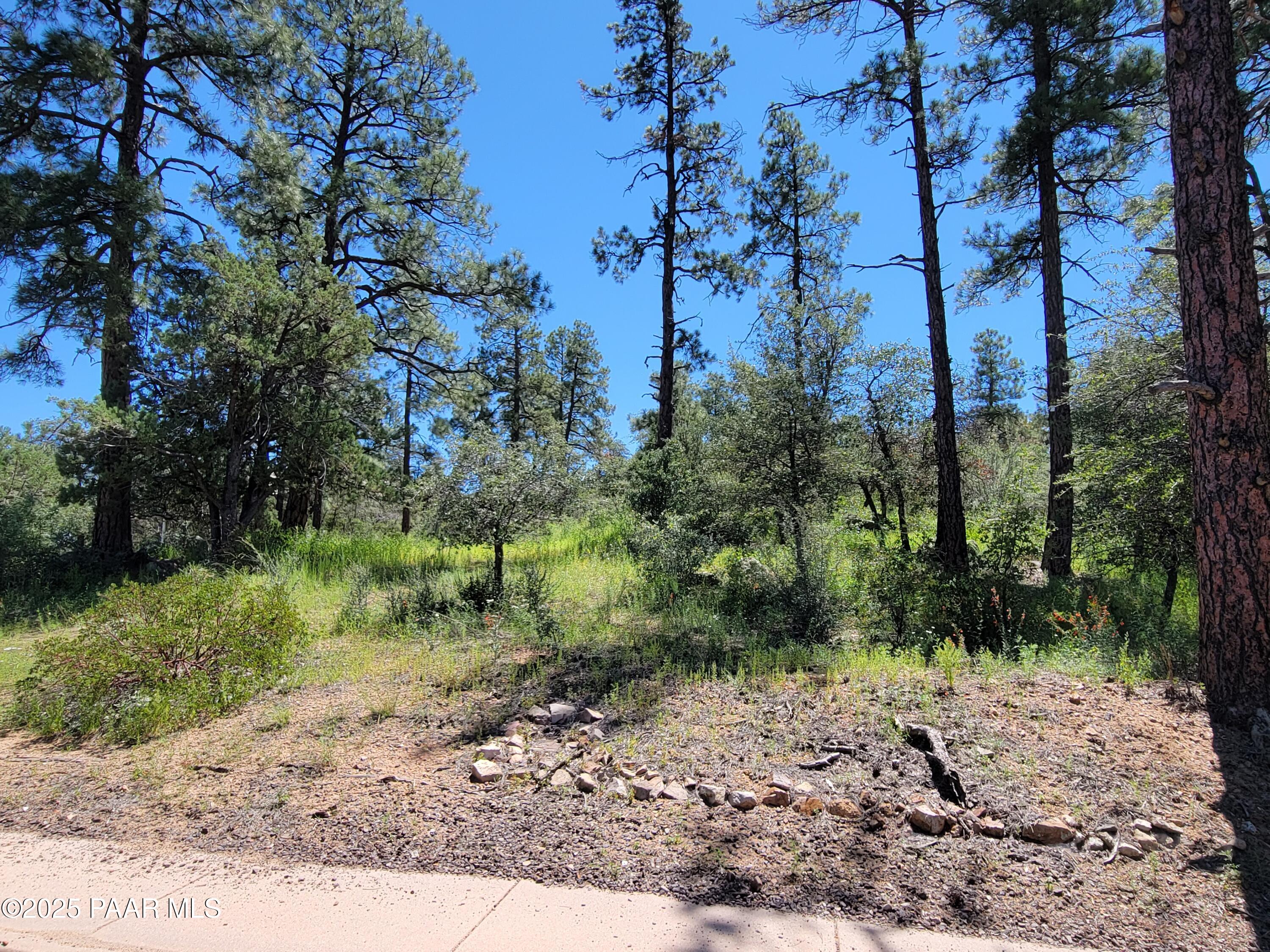 1753 Conifer Ridge Lane Prescott, AZ 86303 - Photo 6 of 11 a view of a yard with plants and trees