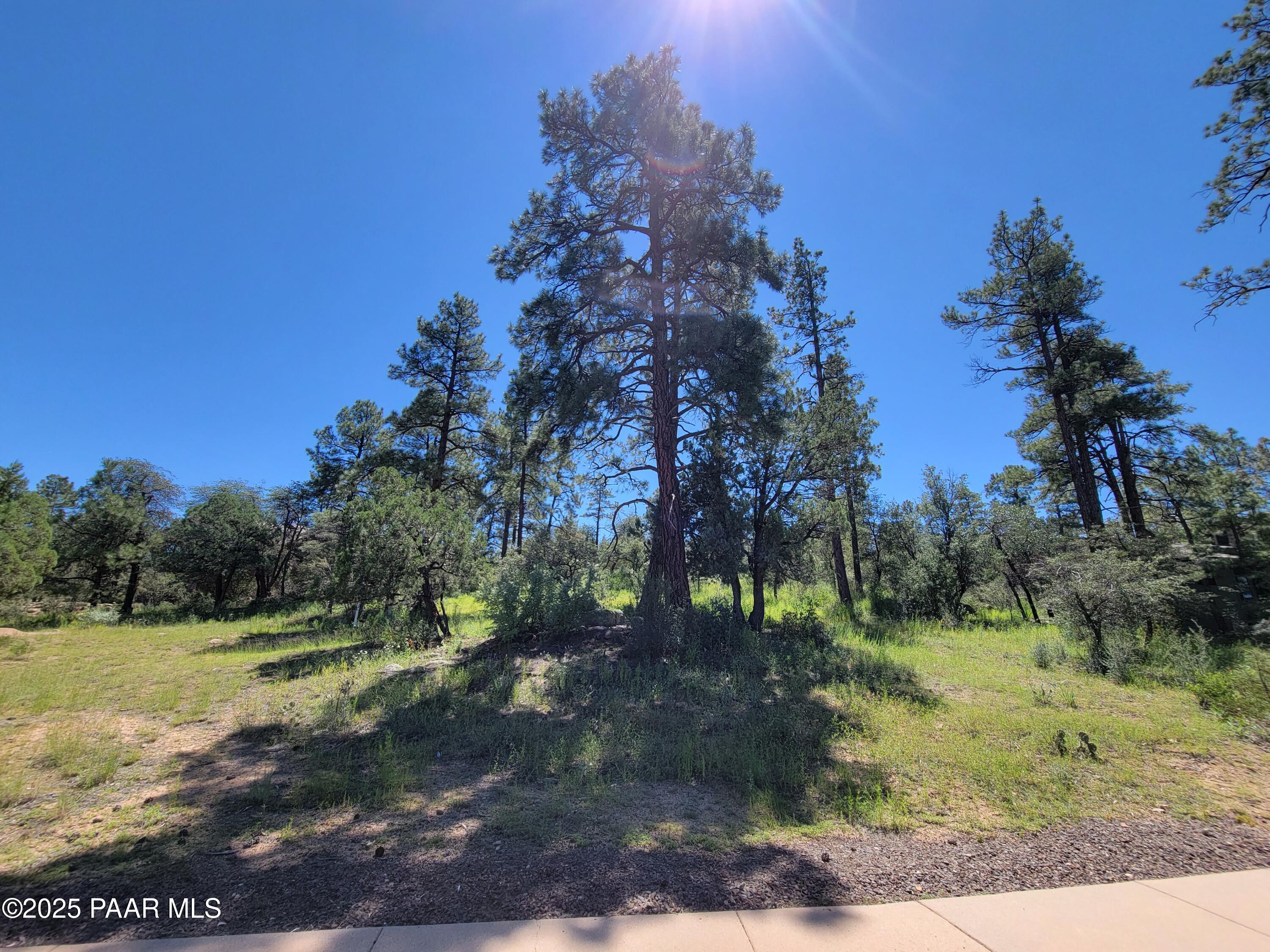 1753 Conifer Ridge Lane Prescott, AZ 86303 - Photo 7 of 11 a view of a yard with a tree
