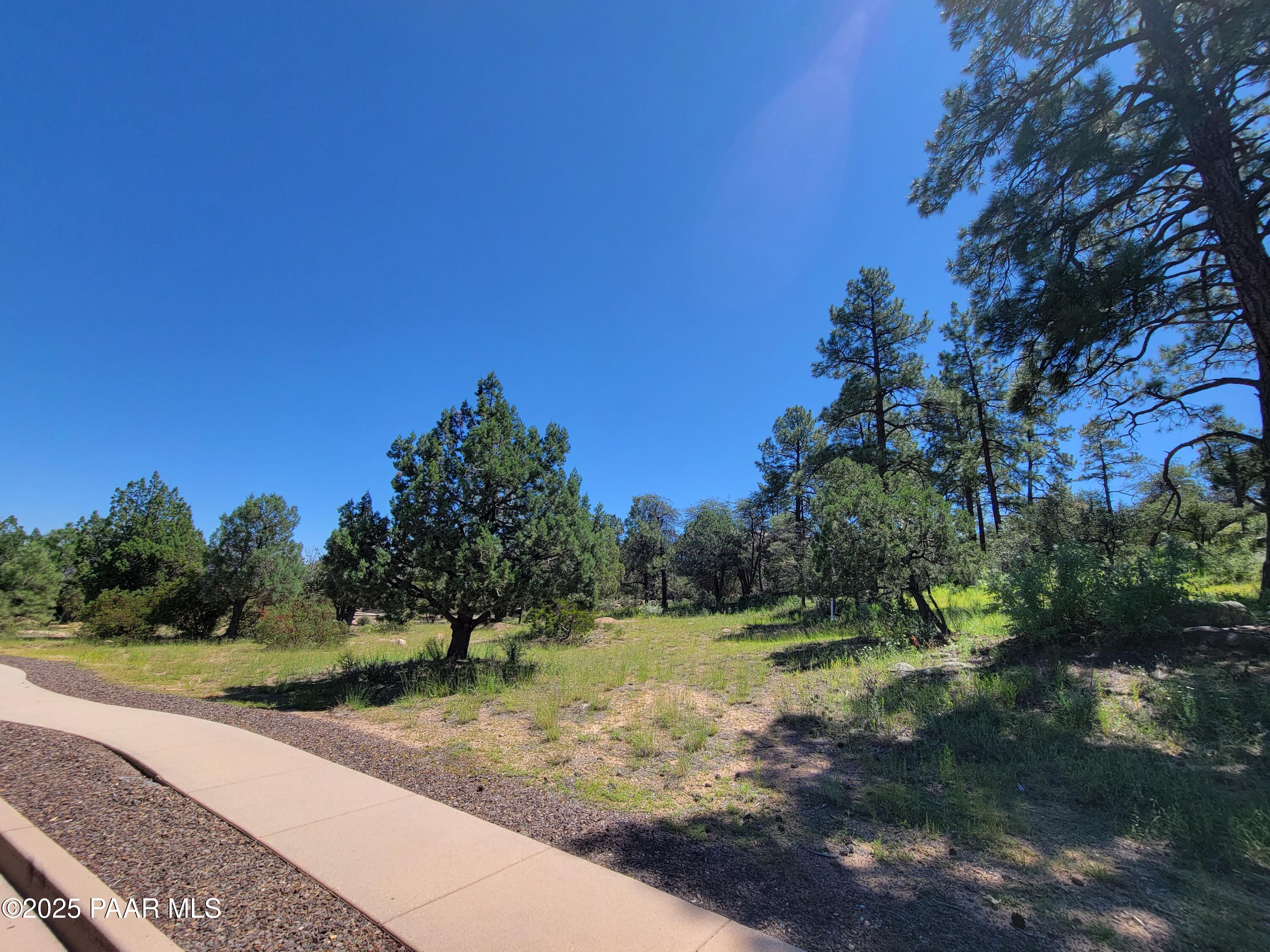 1753 Conifer Ridge Lane Prescott, AZ 86303 - Photo 8 of 11 a view of a yard with a tree