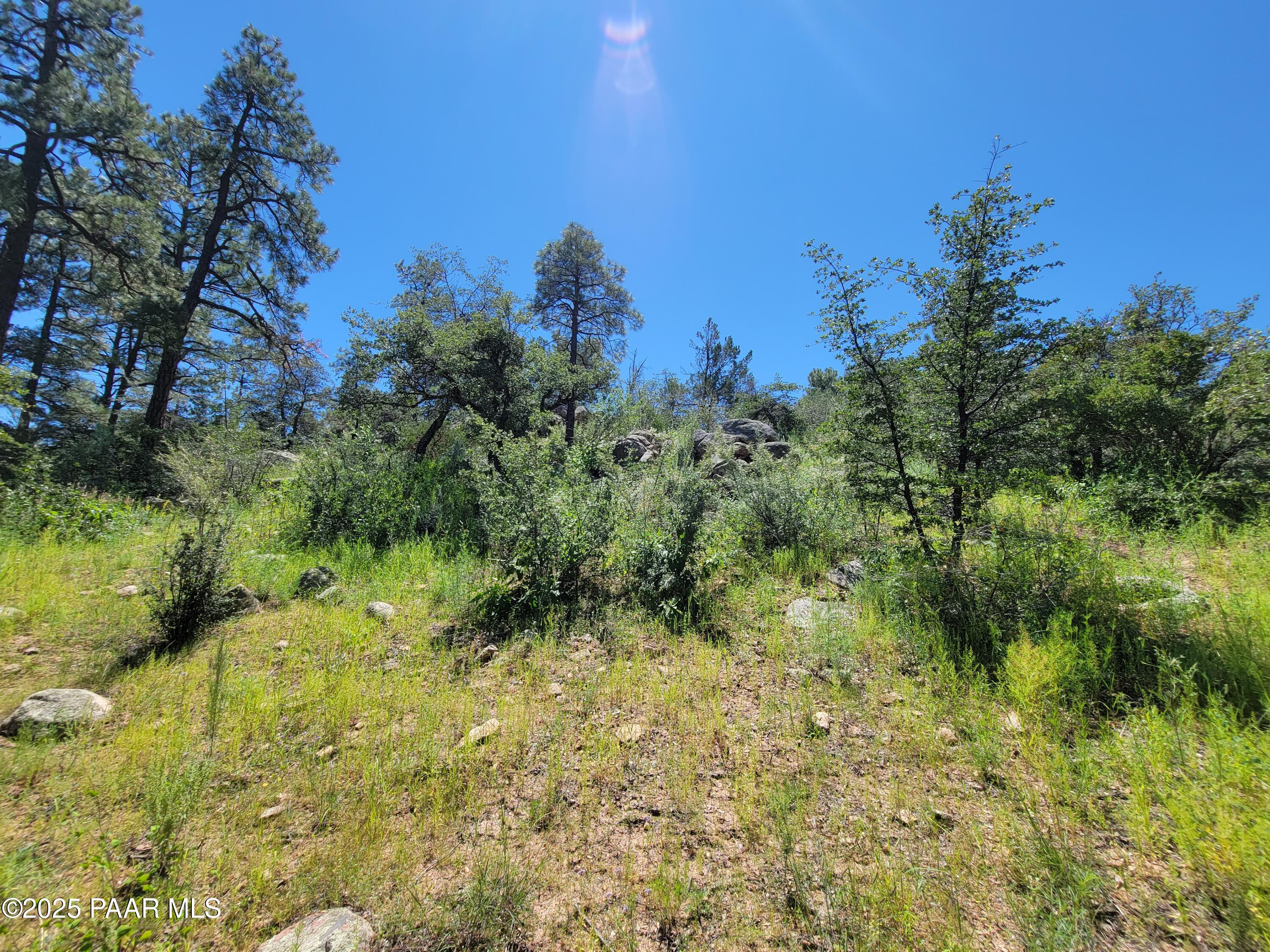 1753 Conifer Ridge Lane Prescott, AZ 86303 - Photo 9 of 11 a view of a garden