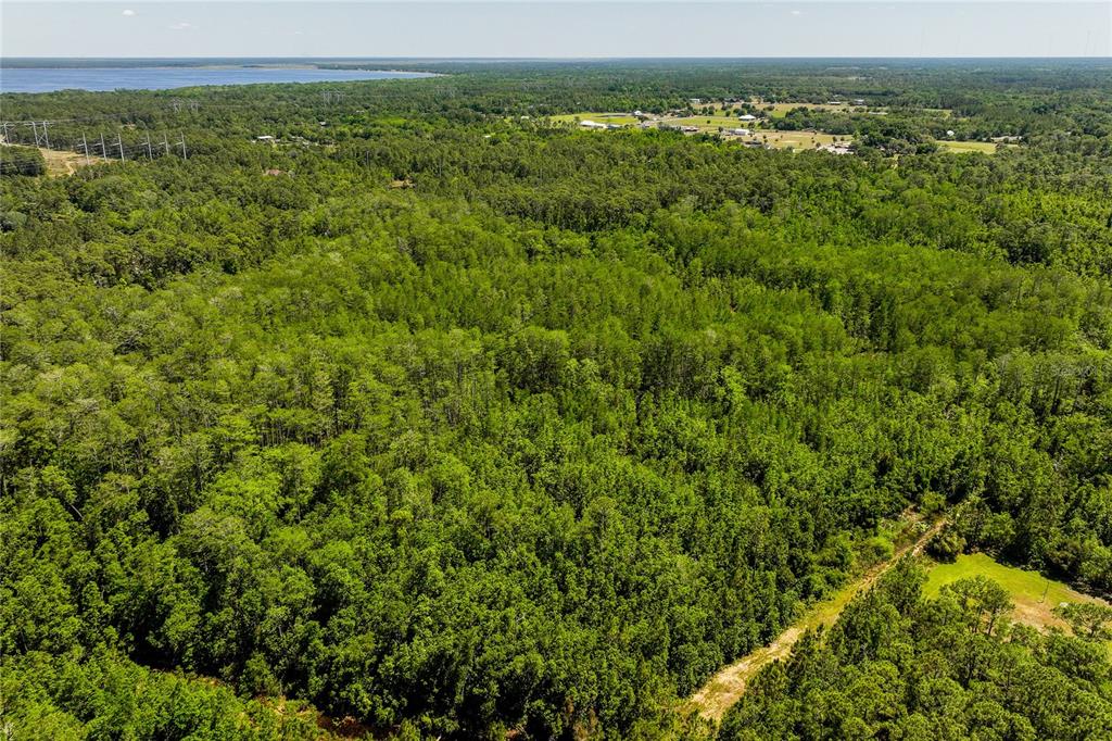 Stafford Trail Geneva, FL 32732 - Photo 11 of 14
