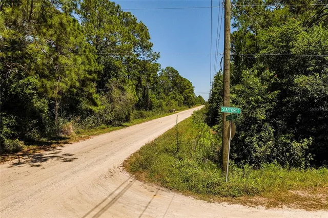 a view of a yard with plants
