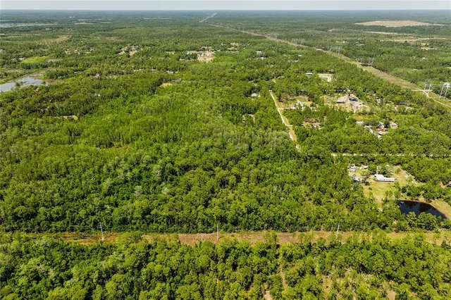 a view of a city with lush green forest