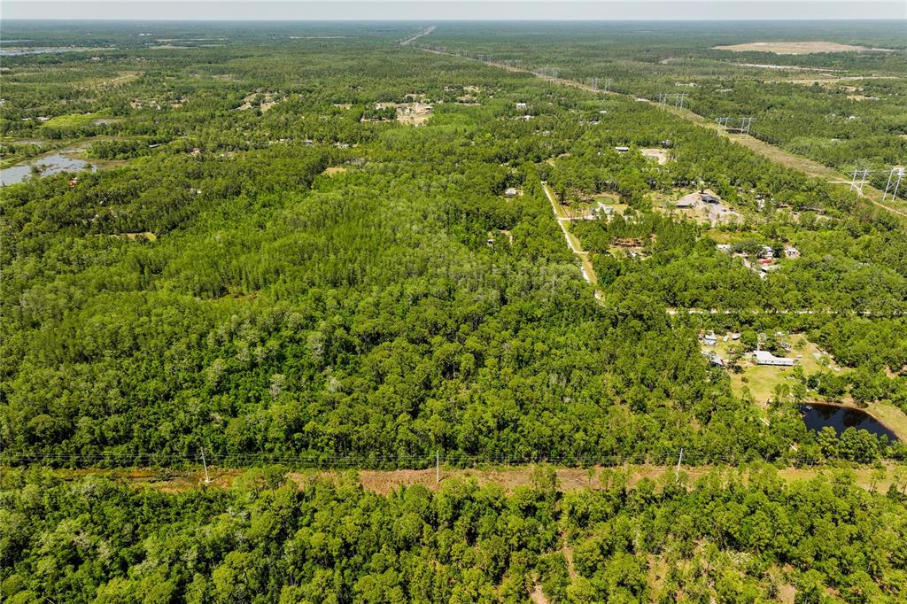 Stafford Trail Geneva, FL 32732 - Photo 8 of 14