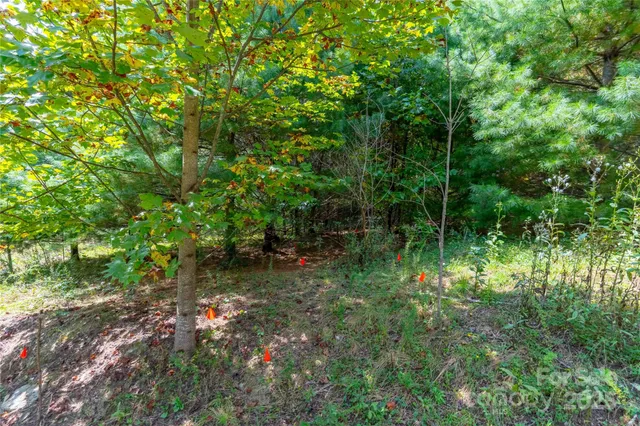 $68,000 | 1043 Somersby Parkway, Hendersonville, NC 28739