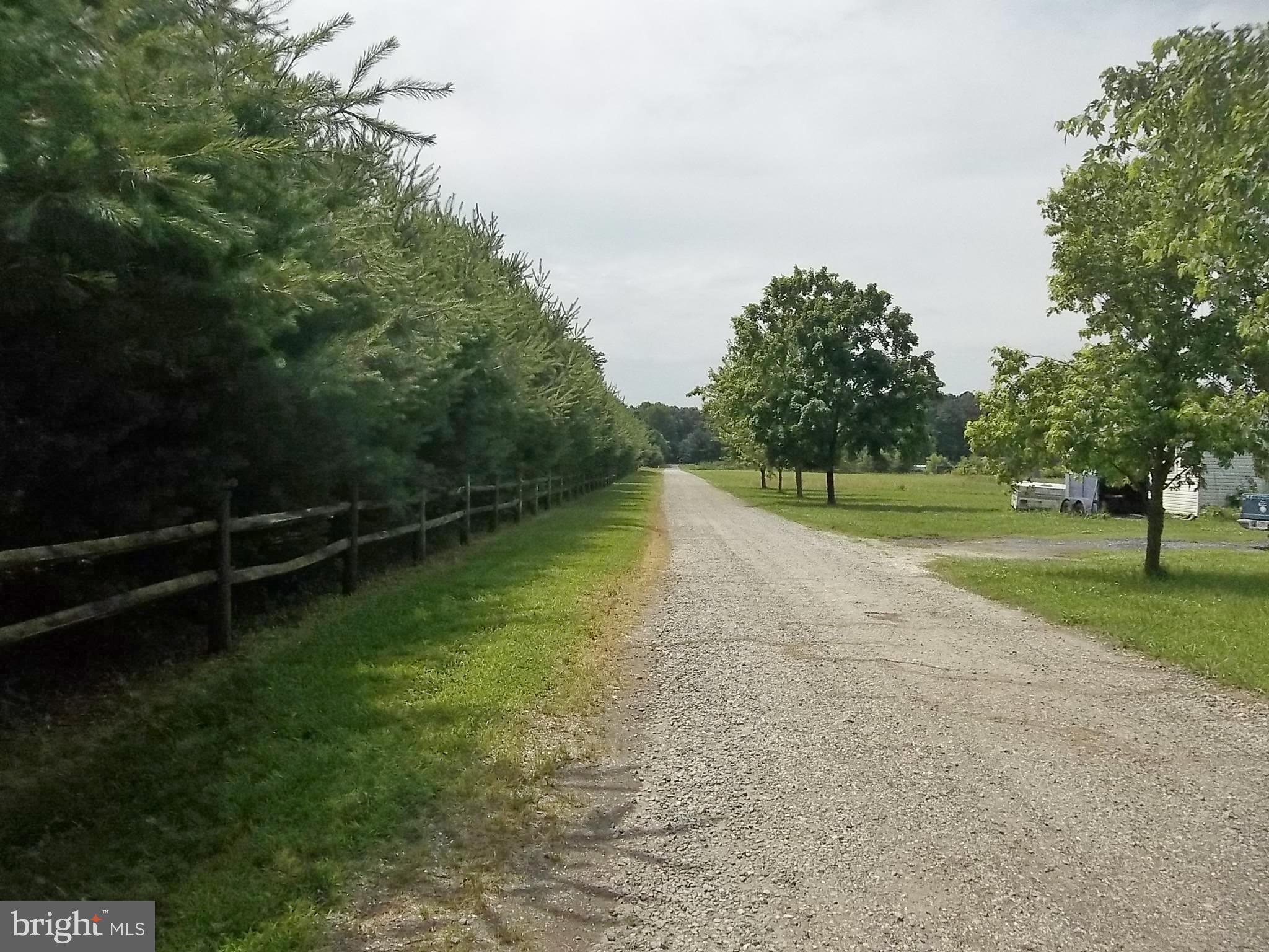 11560 Holly Road Ridgely, MD 21660 - Photo 5 of 28 Entrance Lane