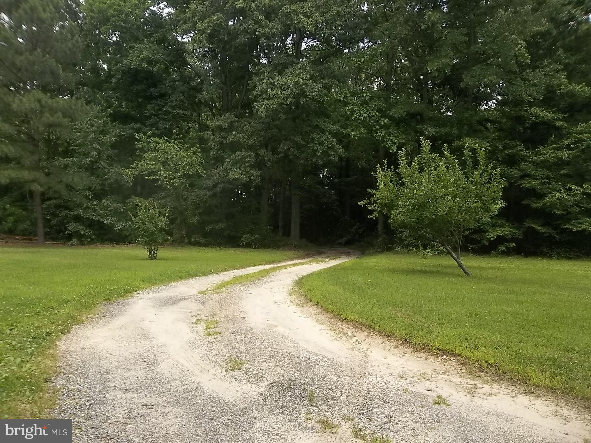 11560 Holly Road Ridgely, MD 21660 - Photo 6 of 28 Lane to the Garage