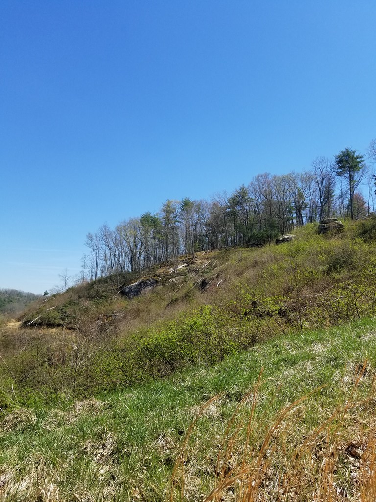 Tbd Peach Bottom Road, Unit 53A58B1 Independence, VA 24348 - Photo 12 of 14 Gallery Image 12