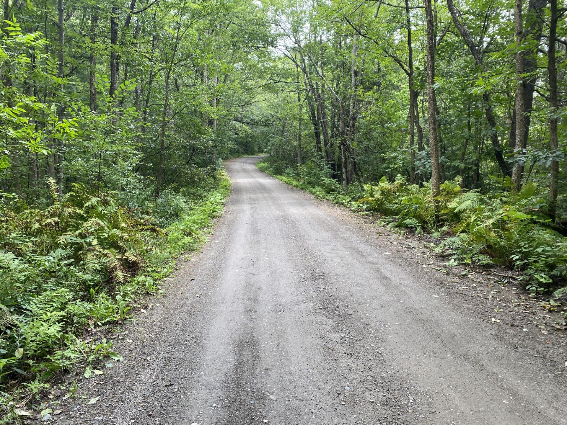 Lot 25 Turner Ridge Road Palermo, ME 04354 - Photo 14 of 23 Wooded Lot