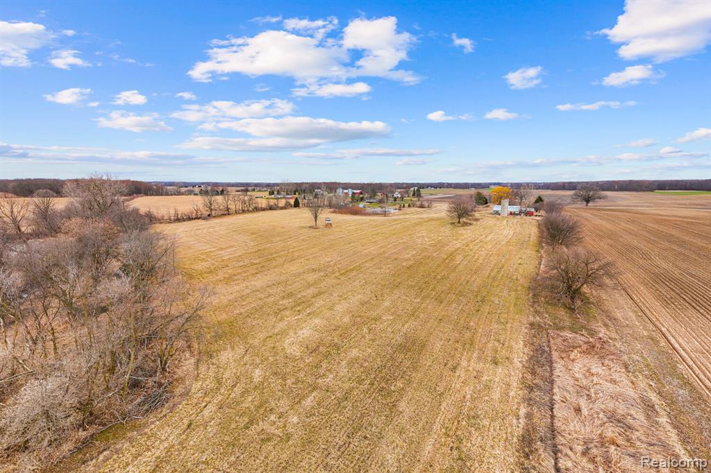 3824 Britton Road Bancroft, MI 48414 - Photo 13 of 18