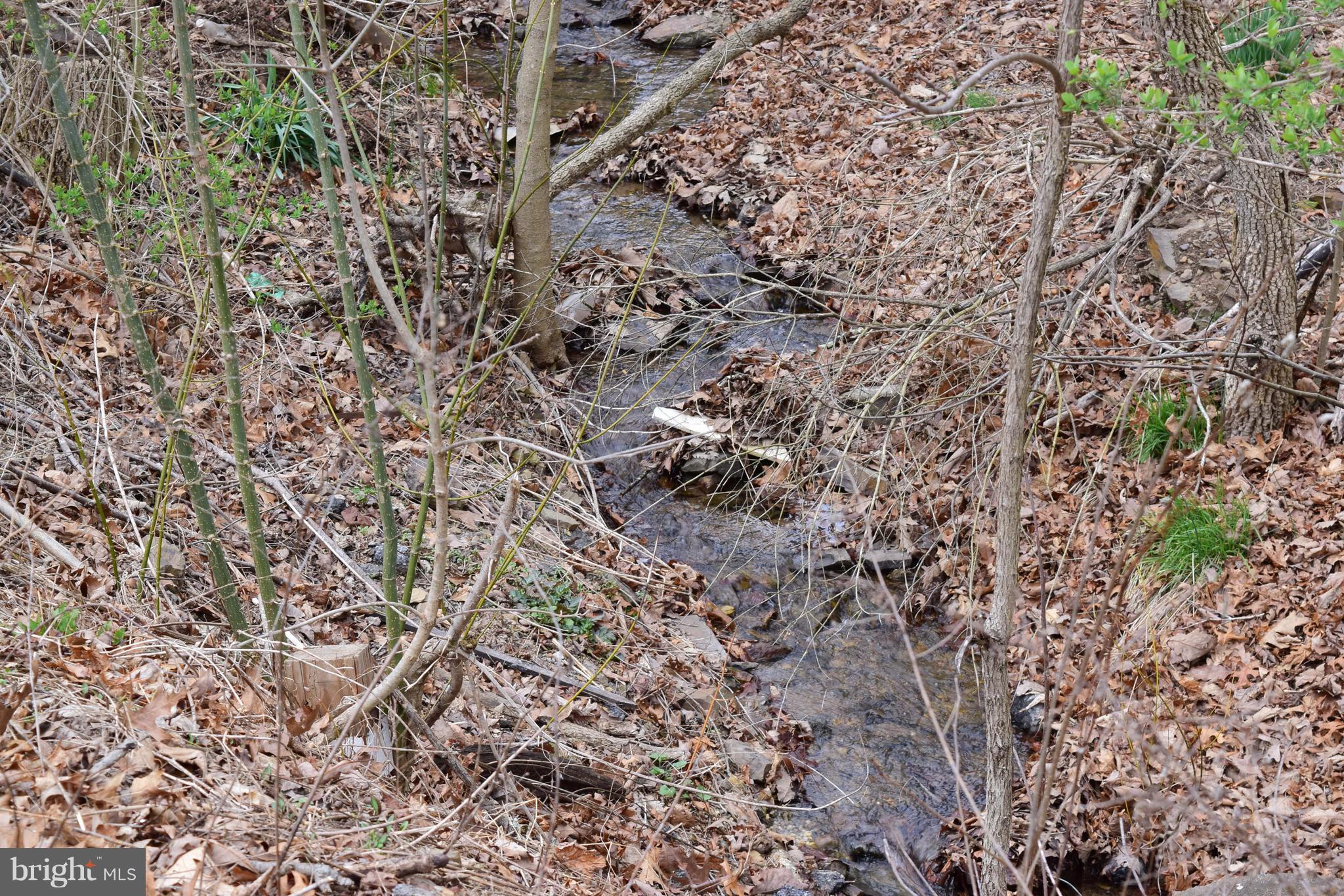 2593 Tabor Road Berkeley Springs, WV 25411 - Photo 3 of 28 Stream through property