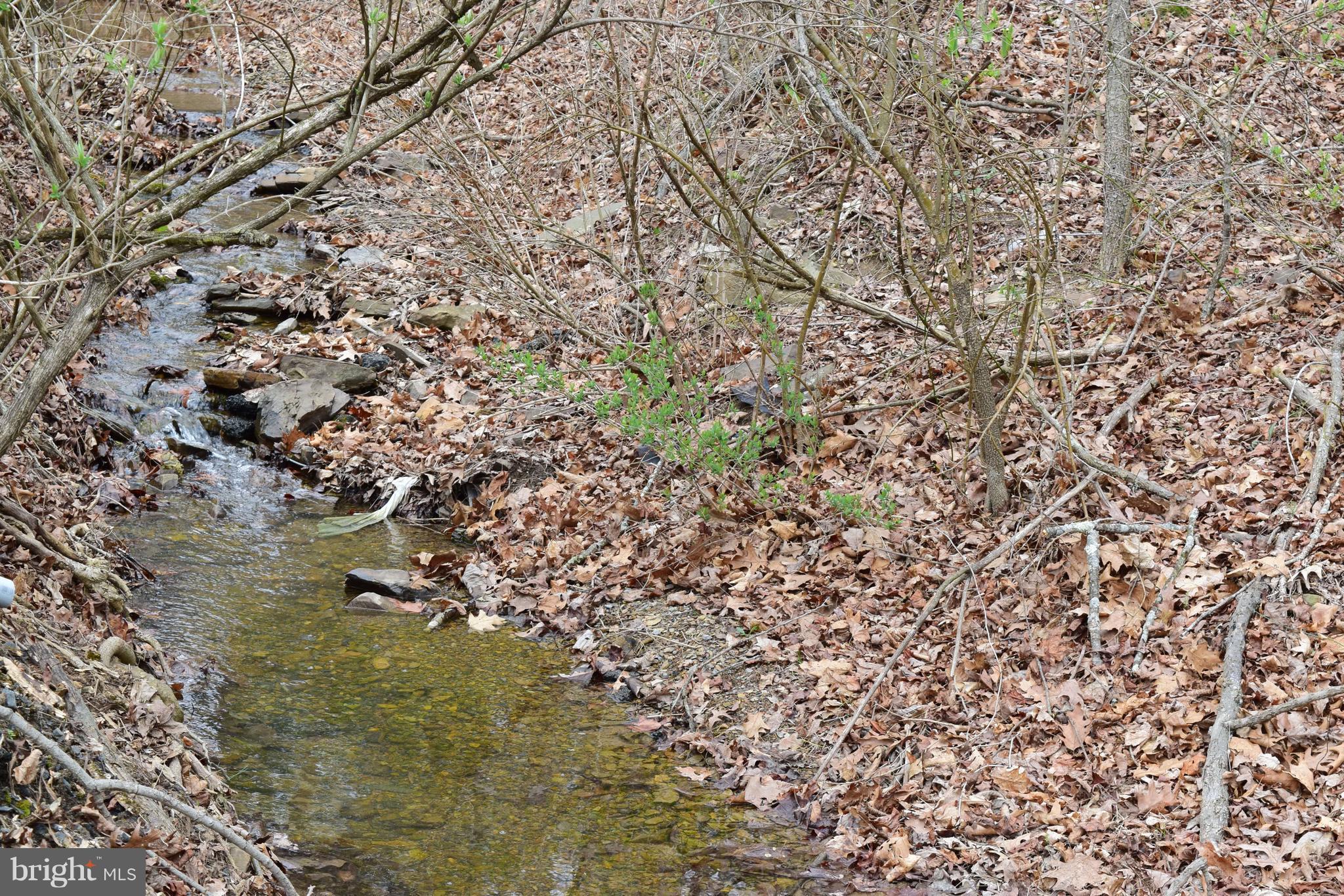 2593 Tabor Road Berkeley Springs, WV 25411 - Photo 27 of 28 Stream through property