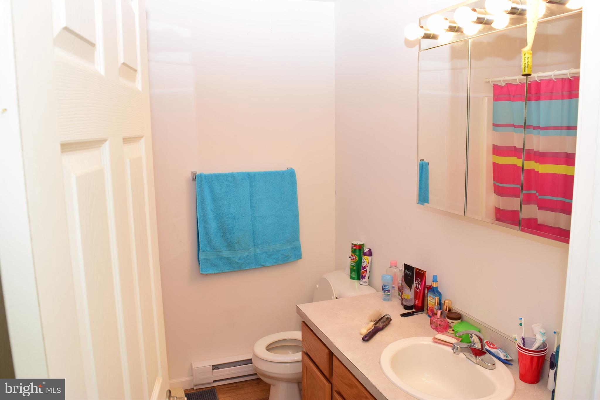 2593 Tabor Road Berkeley Springs, WV 25411 - Photo 6 of 28 Bath