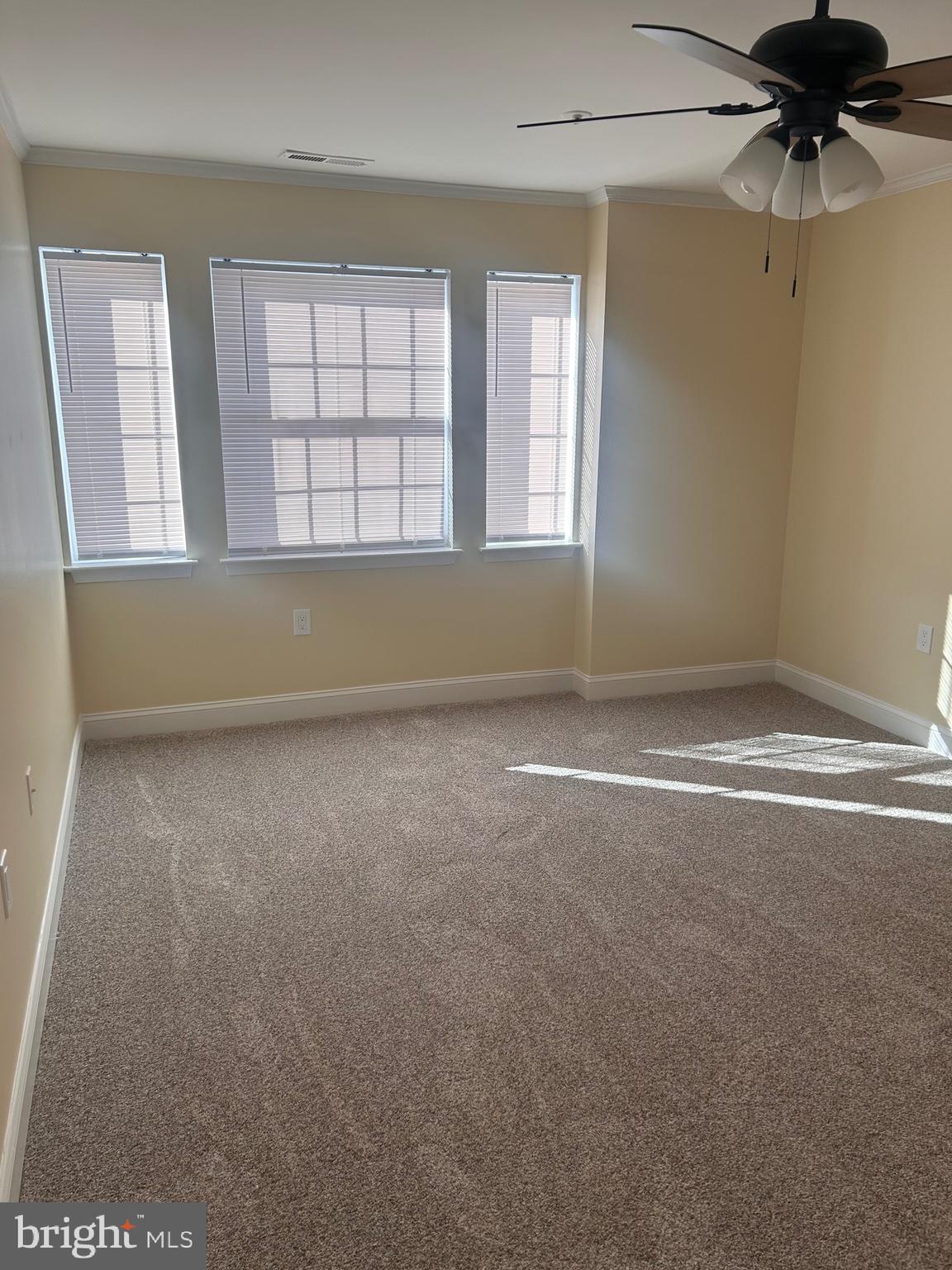 8513 Falls Run Road, Unit A Ellicott City, MD 21043 - Photo 16 of 18