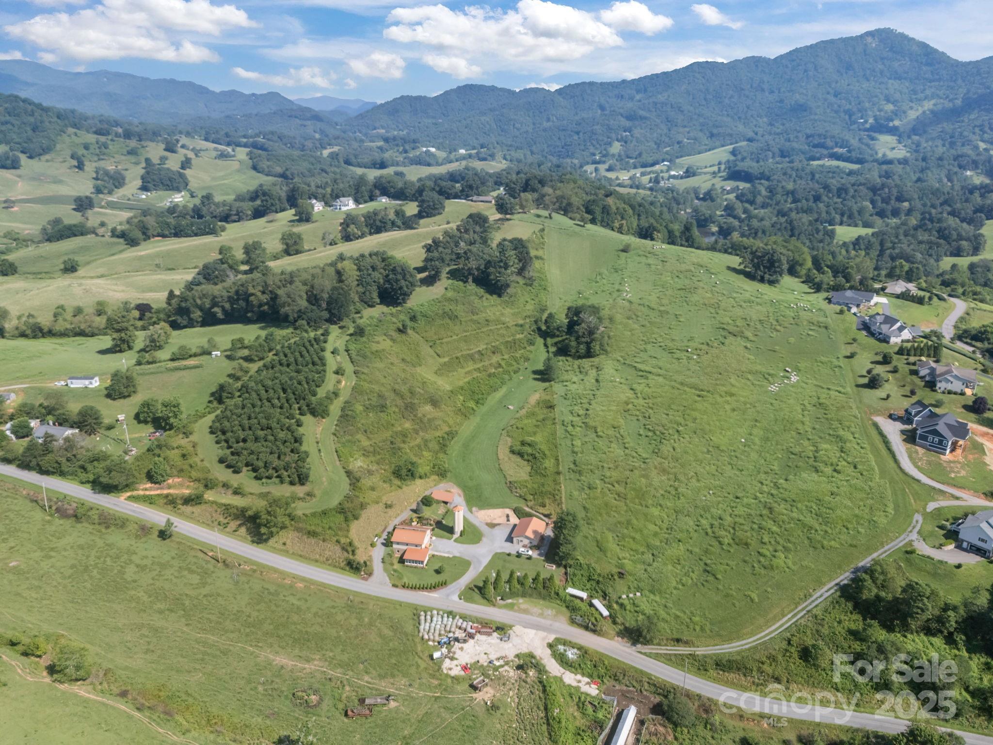 593 Buck Ridge Road Waynesville, NC 28785 - Photo 2 of 41 Gallery Image 2