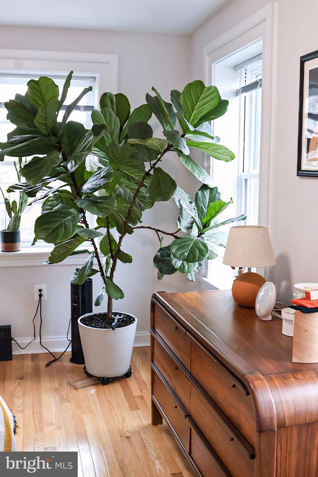 1734 Bolton Street, Unit 3R Baltimore, MD 21217 - Photo 31 of 38