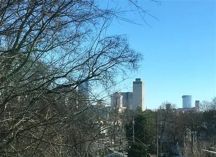 a view of a city with tall trees