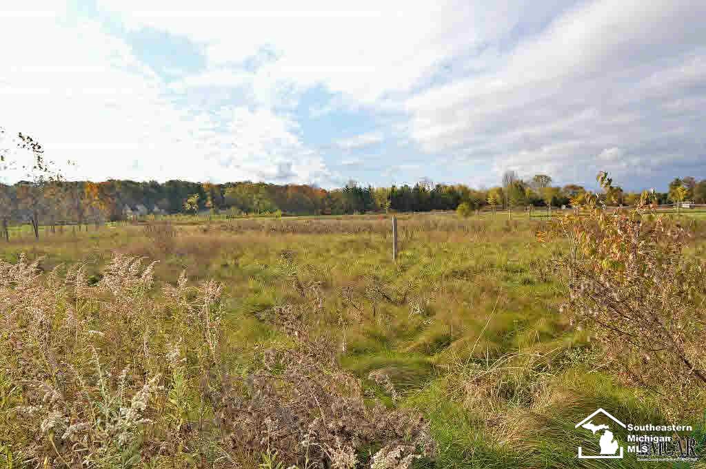 7057 Todd Road Temperance, MI 48182 - Photo 8 of 23