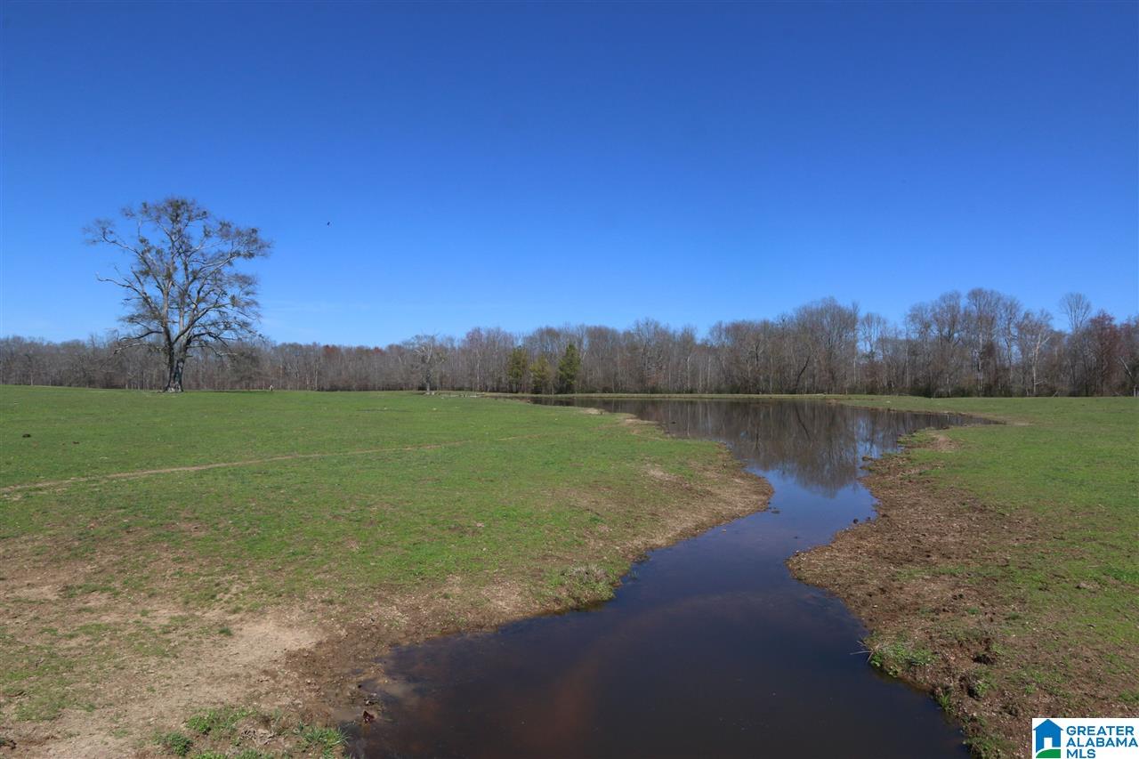 0 Double Bridge Road, Unit 286 Ashville, AL 35953 - Photo 3 of 34