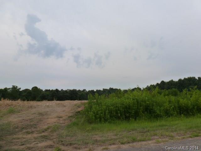 978 John Doster Road Pageland, SC 29728 - Photo 5 of 7 a view of a lake and green valley