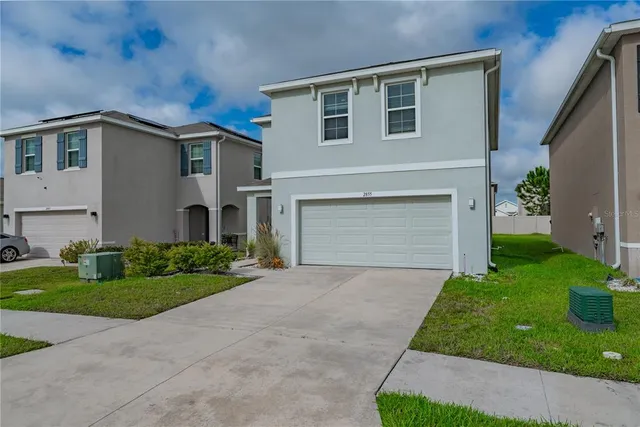 a view of a backyard with potted plants and large tree