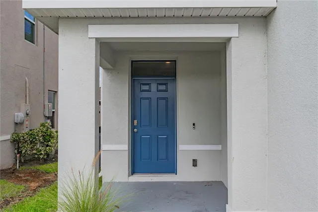 a backyard of a house with plants and large tree