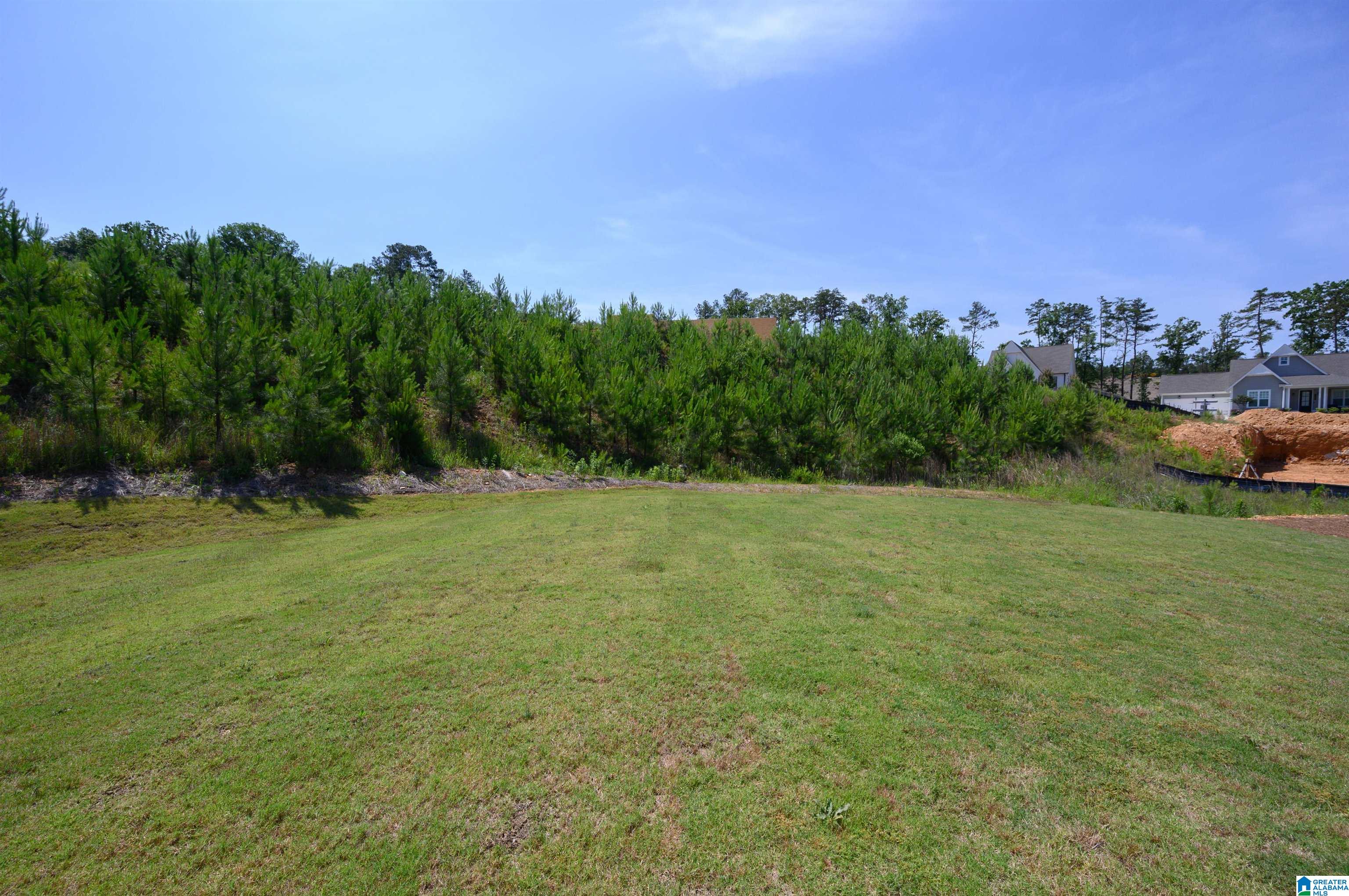 533 Ramsgate Drive Alabaster, AL 35114 - Photo 45 of 50